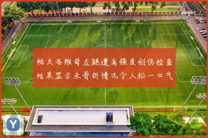 帕夫洛维奇左腿遭高强度创伤检查结果显示未骨折情况令人松一口气